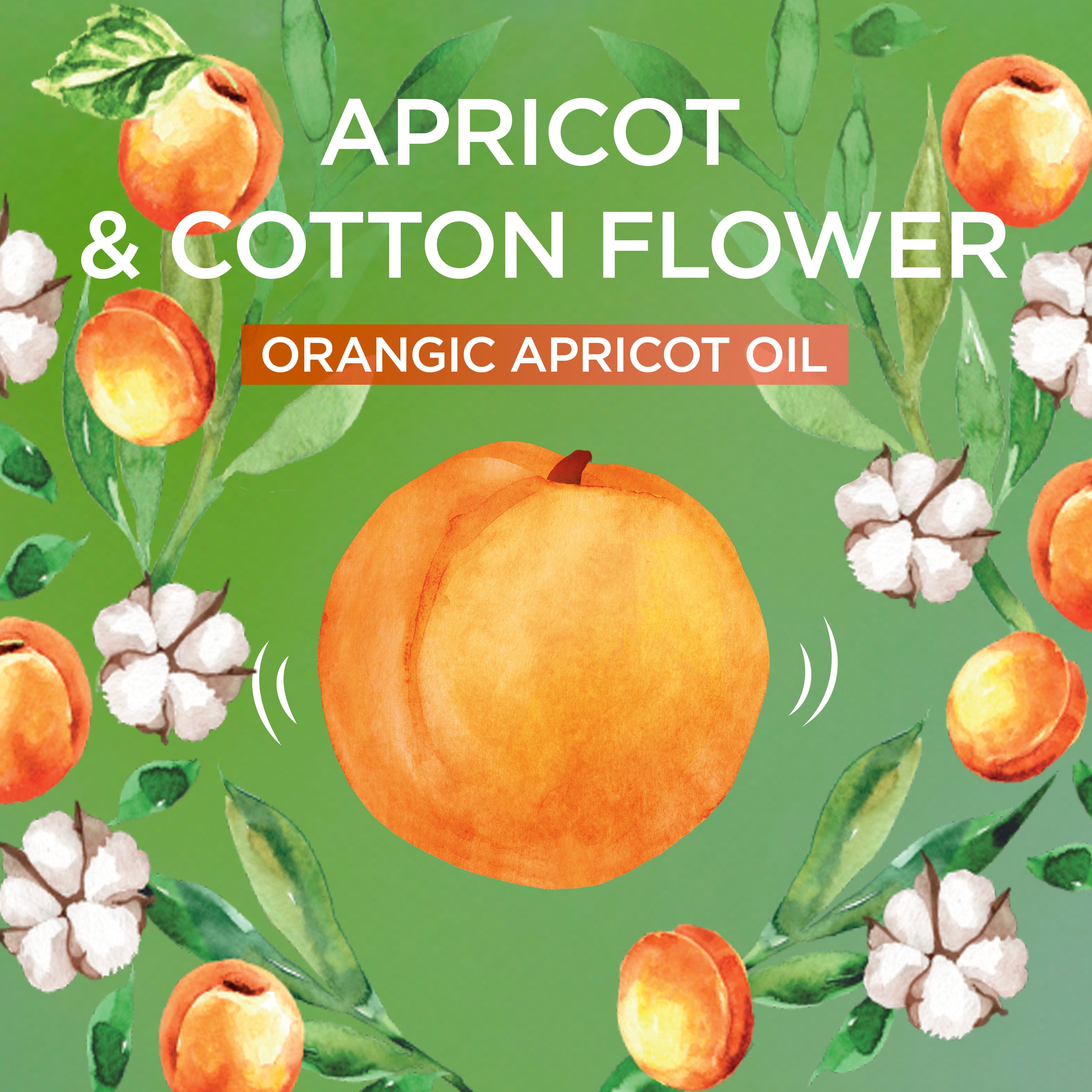 Ultra Doux Kids Shampoo Apricot