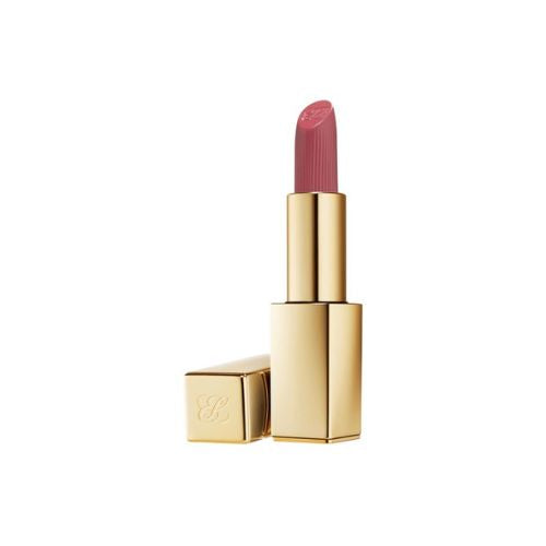 Estee Lauder Pure Color Matte Lipstick - 669 Stolen Heart 