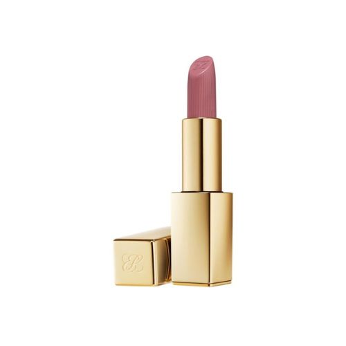 Estee Lauder Pure Color Matte Lipstick - 816 Suit Up