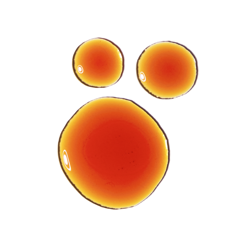 Pycnogenol 5%